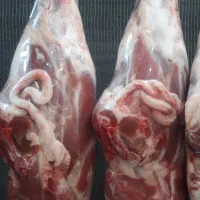 قصاب ماهر کارگاه و قطعه کار مرغ وماهی  نیازمندیم