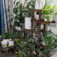 استند گل و گلدان چوبی مقاوم