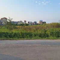 زمین-بر-اصلی-خیابان-گلها