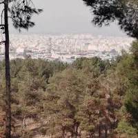 فروش سیم کارت