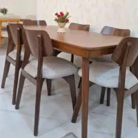 تولیدانواع غذاخوری اسپرت جدید/کیفیت بالاقیمت مناسب