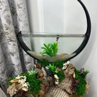 اکواریوم چوبی
