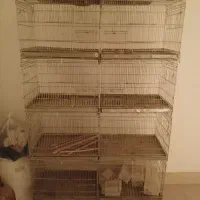 جفت خون|لوازم جانبی حیوانات|بوشهر, |دیوار