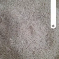 فروش برنج فجرسوزنی ۹۰روزه|خوردنی و آشامیدنی|خان ببین, |دیوار