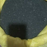 بزر پیاز