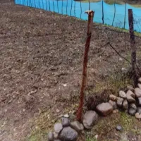 فروش252-زمین-شهرک-آموزش-وپرورش-ریک