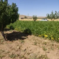 فروش باغ سمت دیرج آبادموقعیت عالی|فروش زمین و ملک کلنگی|زنجان, |دیوار