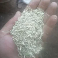 خار شتری و شوره