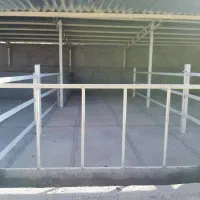 گاوداری|فروش دفتر صنعتی، کشاورزی، تجاری|چگنی, |دیوار