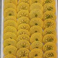 آموزش کلمپه خانگی با طعم های متفاوت