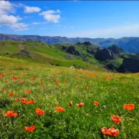 تور پاییزه شمال ،ظرفیت دو نفر،تخفیفی