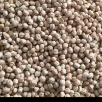 فروش نخود تمیز ودرشت