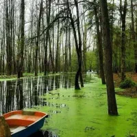 تور ۱روزه ماسوله تا سراوان