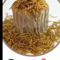 فروش‌کرم‌میل‌ورم‌‌زنده‌وخشک