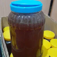 عسل کنار وگیشنیز لرستان