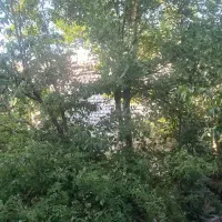 خانه روستایی دو طبقه در خرم آباد|فروش خانه و ویلا|مشهد, خرم آباد|دیوار