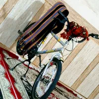 دوچرخه 20 اساک