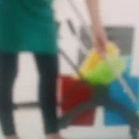 تمیز کاری منازل