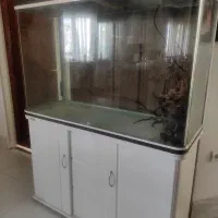 آکواریوم بزرگ شرکت ماهیران|ماهی|مشهد, فارغ التحصیلان|دیوار