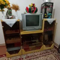 تلویزیون