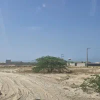 زمین-باغی-مال-قاعد