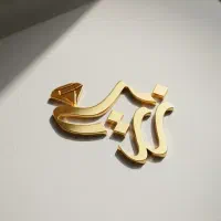 طراحی لوگو ۵۰۰ هزار تومان|خدمات رایانه‌ای و موبایل|تهران, تهرانپارس جنوبی|دیوار