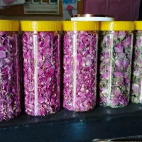گل محمدی.وگل گاوزبان