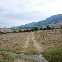 1000متر-زمین-کشاورزی