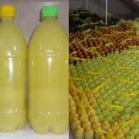 پخش آبلیمو آبغوره سرکه انواع ترشیجات پیک رایگان