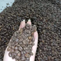 قهوه و پودریجات|خوردنی و آشامیدنی|پاکدشت, پاکدشت (مامازند)|دیوار