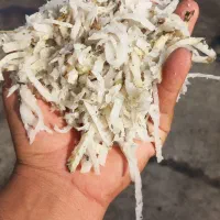 خوراک دام بصرفه