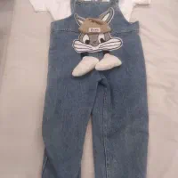 لباسها سالم ودرحدنو