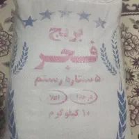 برنج فجر خوزستان و هاشمی گیلان
