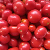 خوردنی|خوردنی و آشامیدنی|قائم‌شهر, |دیوار