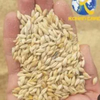 جو خارجی سه تن کیلویی 28000تومان