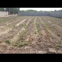 1600متر-دوبحر-عرصه-عیان-بهترین-لوکیشن-فردوسیه