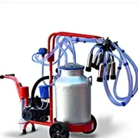 شیر دوش برقی کاملا نو زیر قیمت