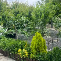 680-متر-باغ-چهاردیواری-محوطه-سازی-شده