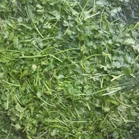 سبزی‌‌خرشت‌وماهی|عمده‌فروشی|برازجان, |دیوار