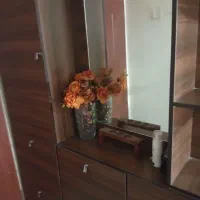 جاکفشی آیینه دار دیواری