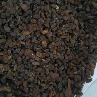 کشمش درجه یک افتابی