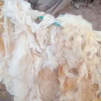 لحاف تشک|تشک تختخواب|مرند, |دیوار