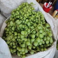 آبغوره بش(غوره دشمن زیاری)|خوردنی و آشامیدنی|شیراز, کوی زهرا|دیوار