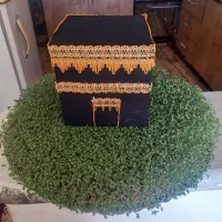 سبزه طبیعی|گل و گیاه طبیعی|بروجرد, |دیوار