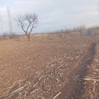 فروش و اجاره زمین کشاورزی|اجارهٔ دفتر صنعتی، کشاورزی، تجاری|فیرورق, |دیوار