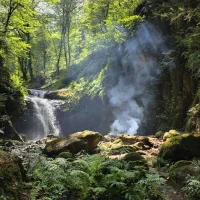 گروه طبیعت گردی