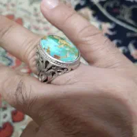 سهره|پرنده|ایلخچی, |دیوار