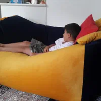 مبل شنی درحد نو