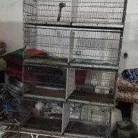 قفس پرنده فروشی توافقی در حدنو|لوازم جانبی حیوانات|اهواز, کوی مندلی(سه راه خرمشهر)|دیوار