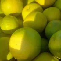 یه تن لیمو خاگی پلاستیک